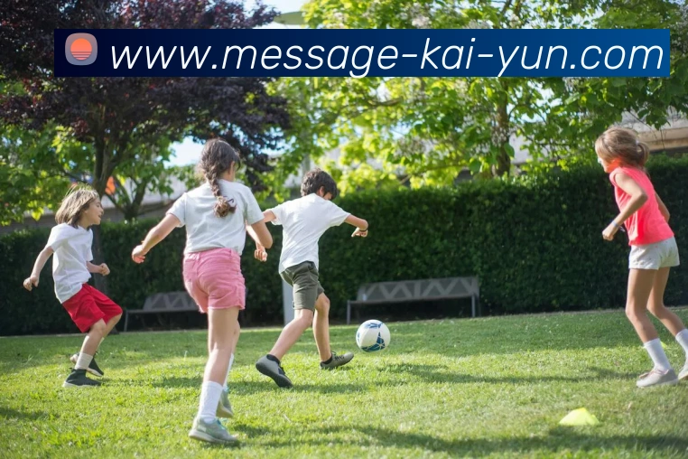 App Interface Preview